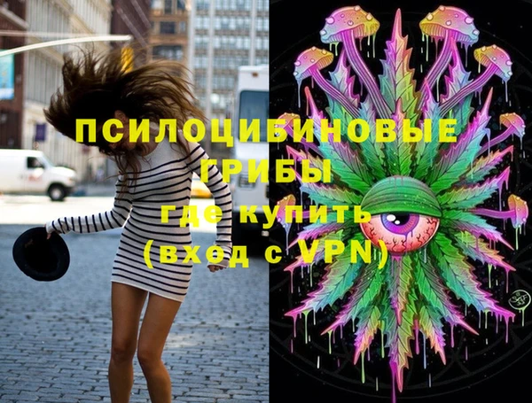 прущие грибы Беломорск