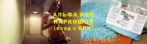 прущие грибы Беломорск