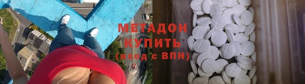 прущие грибы Беломорск