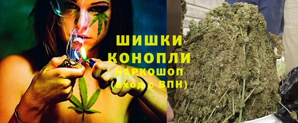 прущие грибы Беломорск