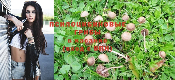 COCAINE Белокуриха