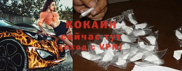 прущие грибы Беломорск