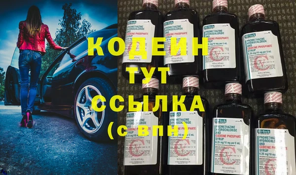 прущие грибы Беломорск