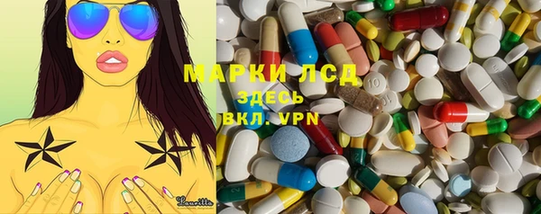 прущие грибы Беломорск