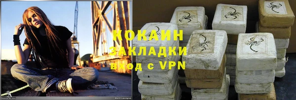 прущие грибы Беломорск