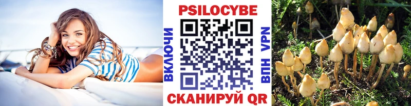 Галлюциногенные грибы ЛСД даркнет наркотические препараты Светлый hydra ссылка